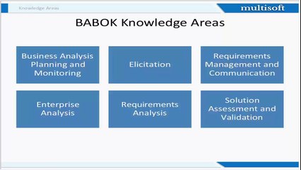 CBAP: Business Competencies