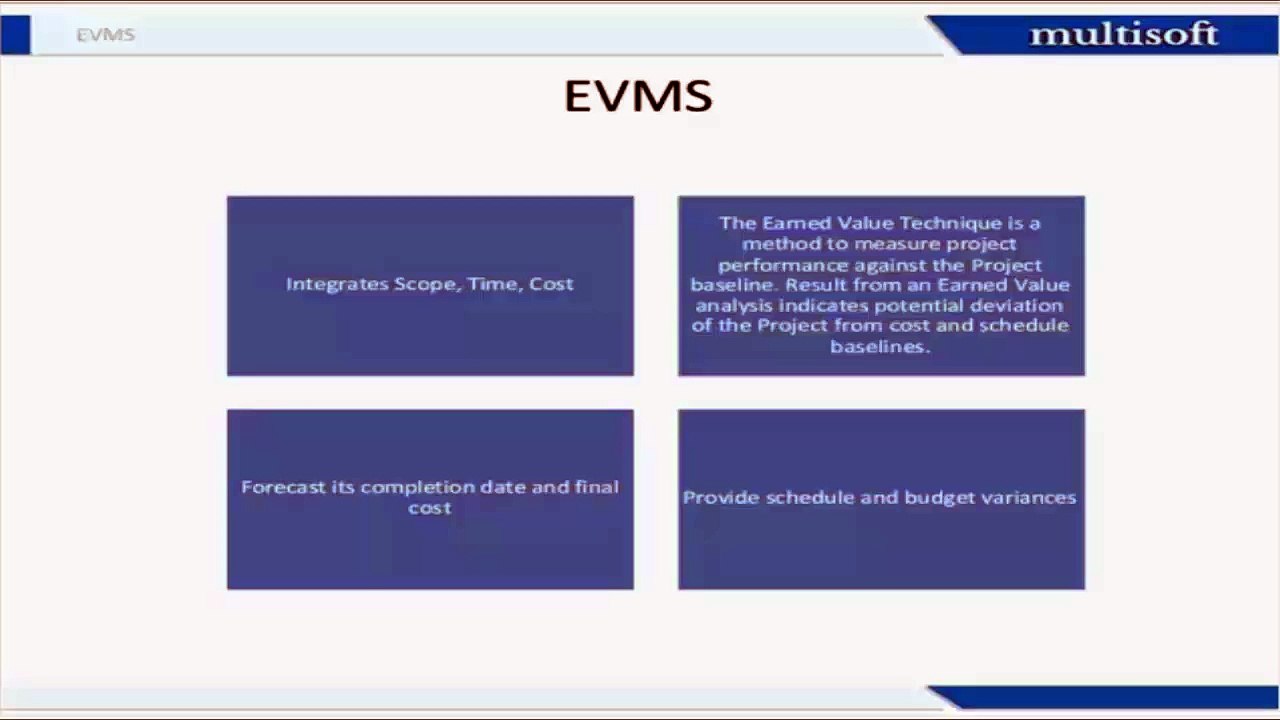 EVMS: Earned Value Management System