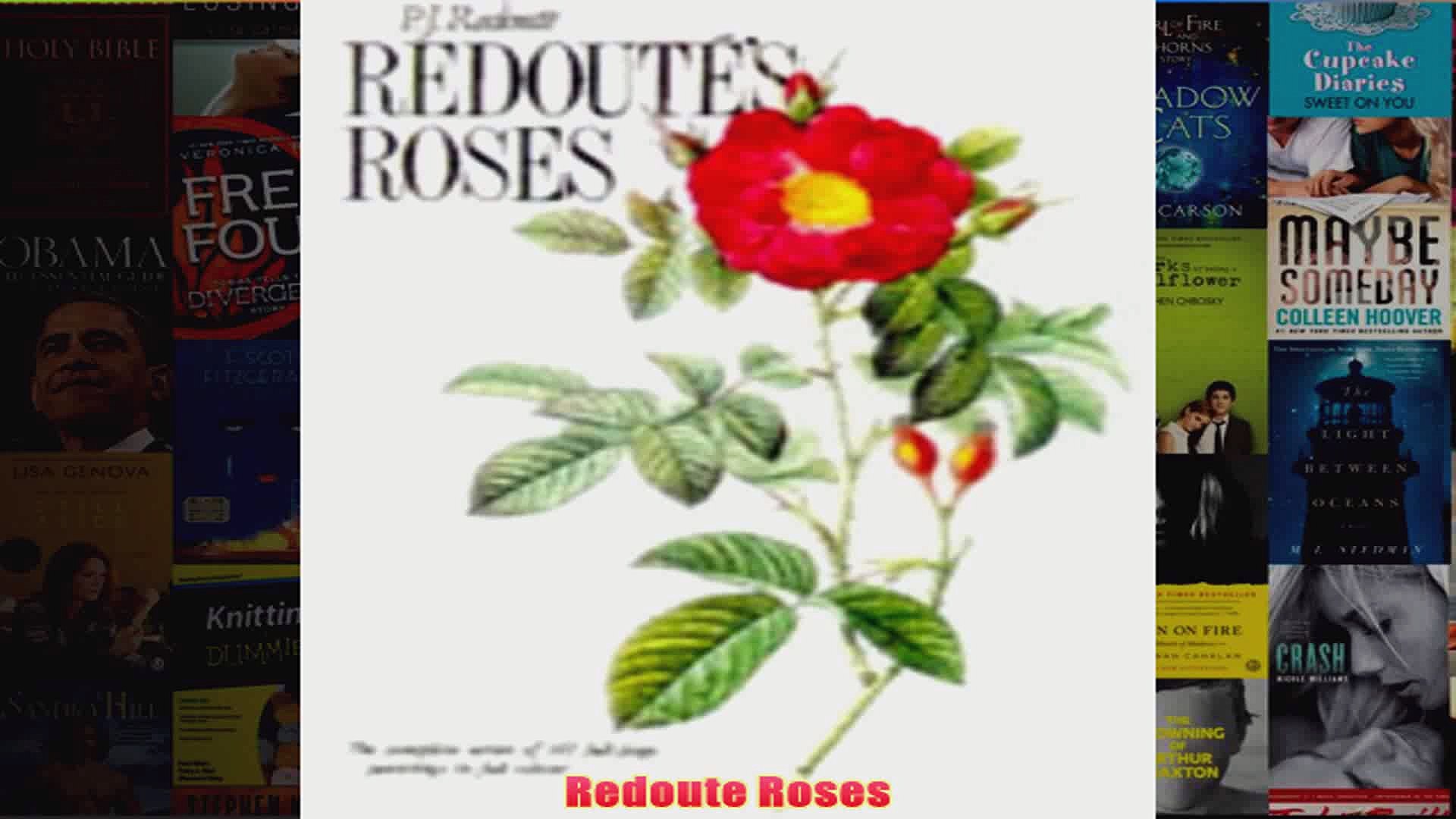 Redoute Roses