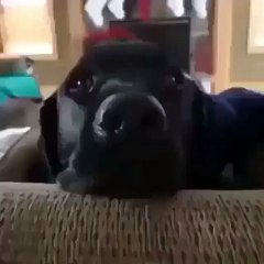 I got my eyes on you