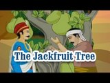 Akbar And Birbal | The Jackfruit Tree | English Animated Stories For Kids