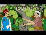 The Jackfruit Tree | कटहल का पेड़ | Akbar Birbal Kahaniyan In Hindi, Animated Stories For Kids
