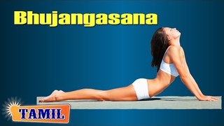 Bhujangasana For Slimming - Weight Loss Yoga - Treatment, Tips & Cure in Tamil
