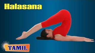 Halasana For Beginners - Exercise For Body Toning - Treatment, Tips & Cure in Tamil