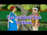Akbar Birbal Hindi | The Jackfruit Tree | Animated Story For Kids