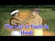 Akbar Birbal Hindi | The List of Fools | Animated Story For Kids