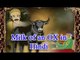 Akbar Birbal Hindi | Milk of an OX | Animated Story For Kids