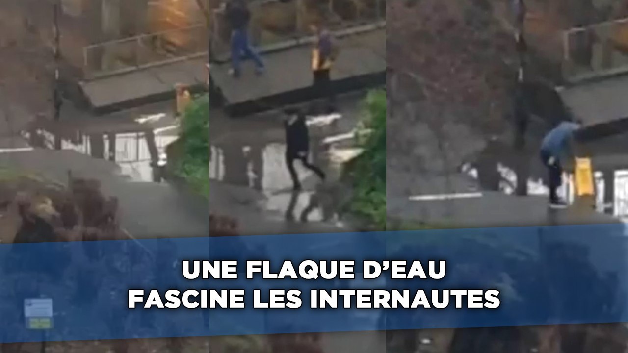 Une flaque d'eau fascine les internautes