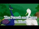 Panchatantra tales In Hindi | The Peacock and Crane  | Animated Story for Kids