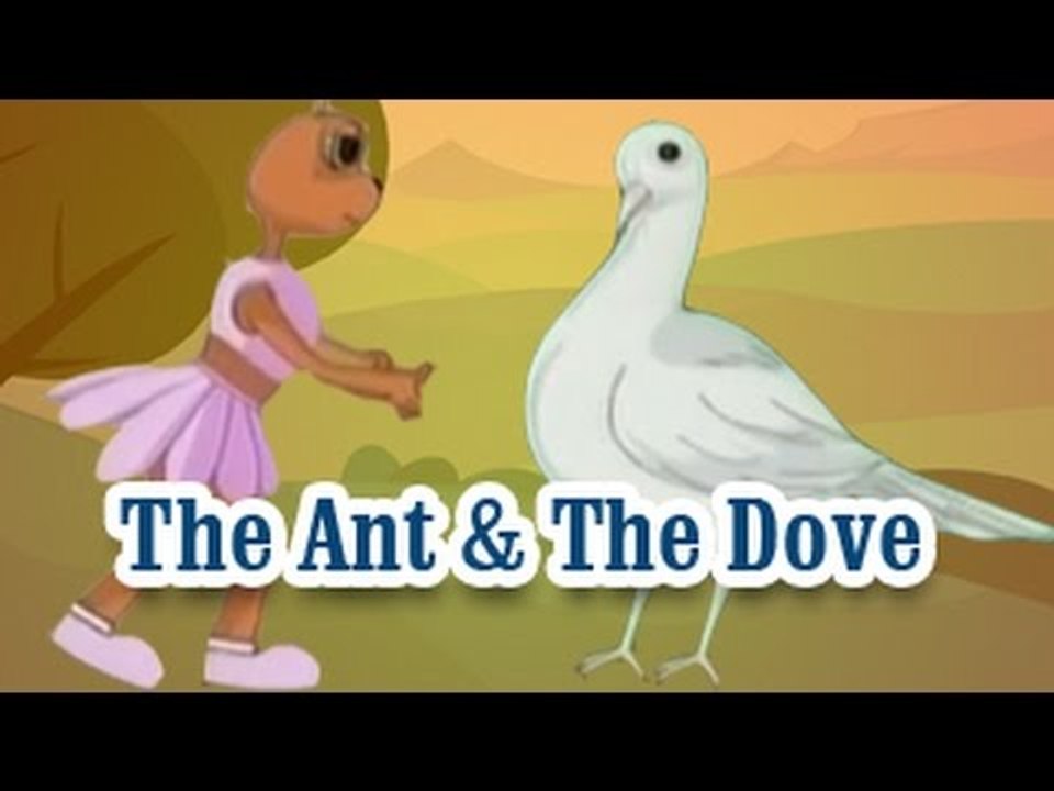 The Ant & The Dove | The Grandpa's Stories English