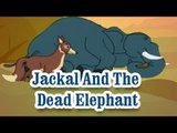 Jackal And The Dead Elephant | The Grandpa's Stories English