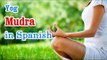 Exercise For Yog and Mudra | Gestures of Your Hands | Yoga In Spanish