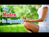 Exercise For Yog and Mudra | Gestures of Your Hands | Yoga In Spanish