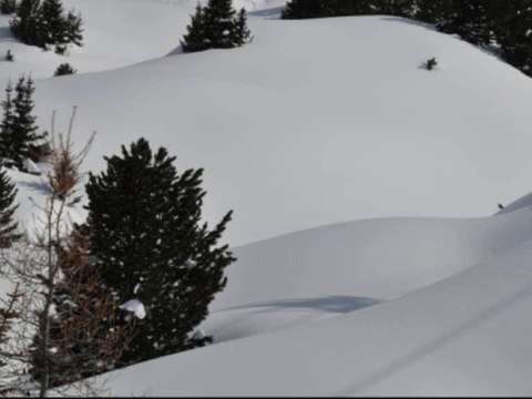 Bien skier ? - Sport d'hiver