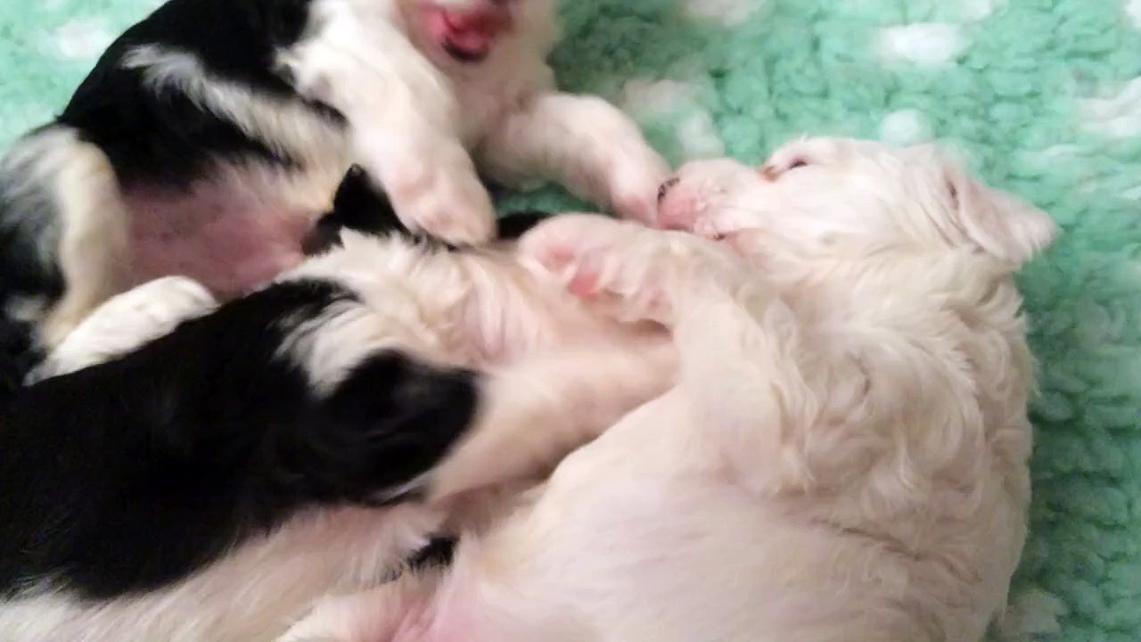 Moments de tendresse