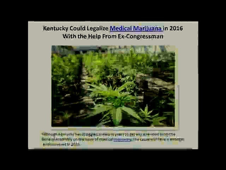 Kentucky Could Legalize Medical Marijuana in 2016 With the Help From Ex-Congressman