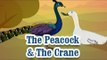 The Peacock & The Crane | Panchatantra Tales | English Animated Stories For Kids