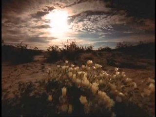 Simple JoyFul Healing Music For Meditation, Stress Relief & Relaxation