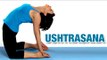 Ustrasana | Camel Pose | Yoga For Beginners