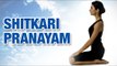 Shitkari Pranayama | Teeth Hissing or Hissing Breath | Yoga For Beginners