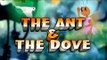 The Ant & The Dove - Tales Of Panchatantra - Animated Cartoon Stories For Kids