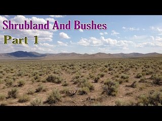 Learn - Shrublands and Bushes Ecosystems - Kids Learning Videos - Part 1