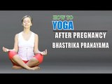 How To  Do Yoga Bhastrika Pranayam After Pregnancy