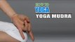 How To Do Yoga Mudra and Hands Gestures for Meditation