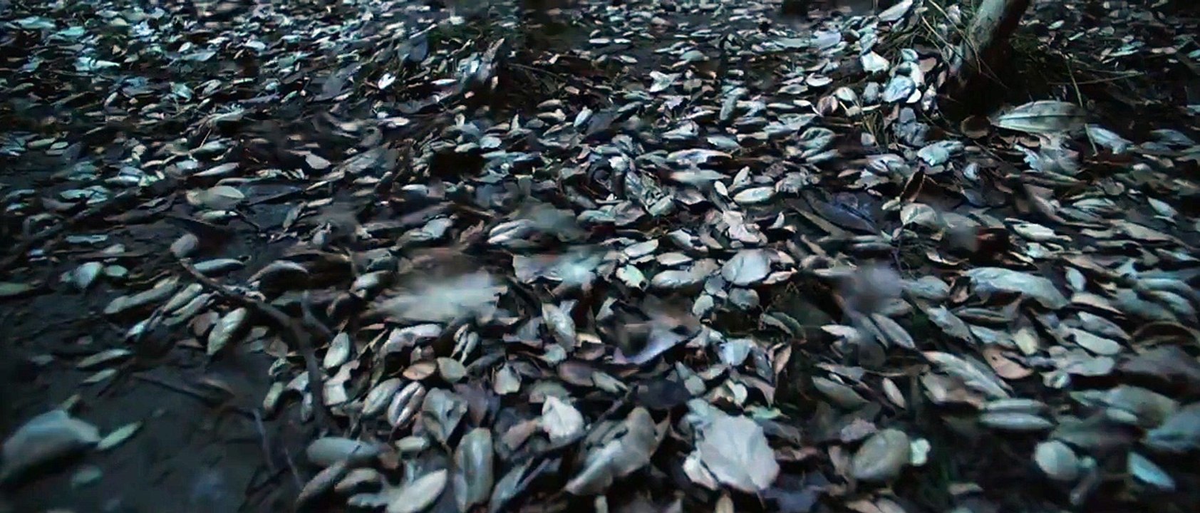 THE CONJURING 2 Teaser VO