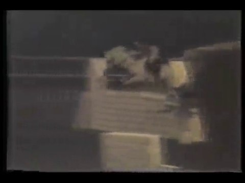 clud hippique yaounde cameroun montage sandrine