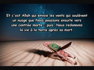 Sourate Fâtir [Le Créateur] - Cheikh Khâlid Ismâ'îl Musabbah