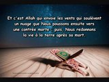 Sourate Fâtir [Le Créateur] - Cheikh Khâlid Ismâ'îl Musabbah