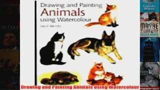 Drawing and Painting Animals Using Watercolour