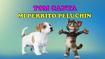TOM Canta MI PERRITO PELUCHON - Canciones Infantiles/BabyKids