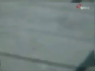 اغرب حقيقة في العالم