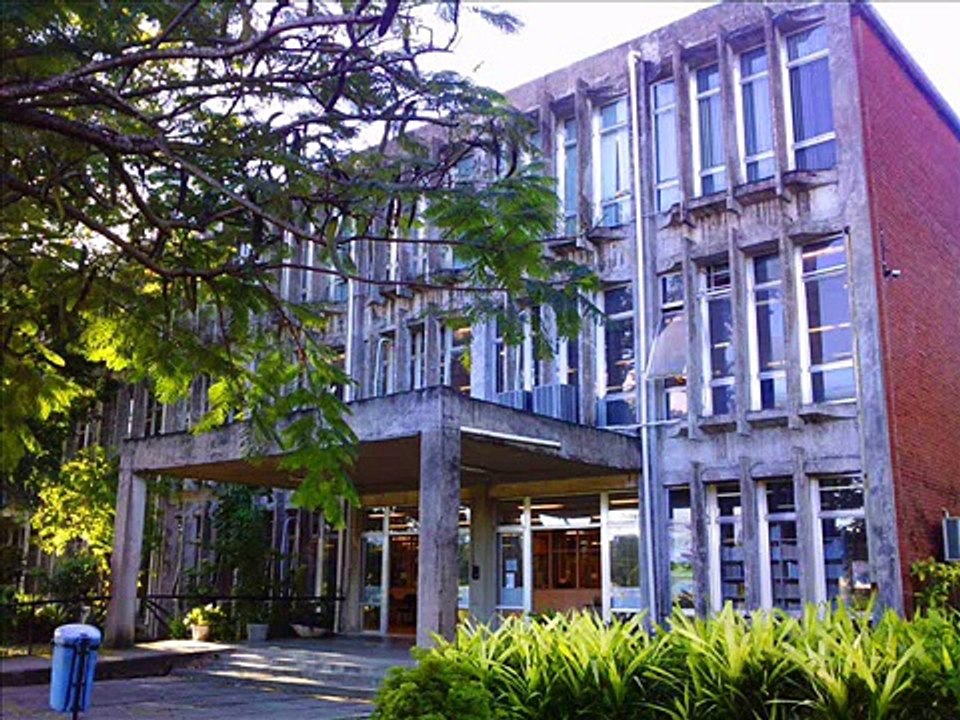 Federal não deixa, não! ("Minha mulher não deixa, não!")