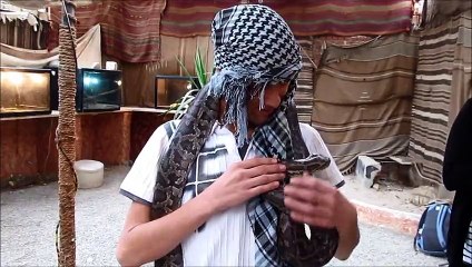 Piton around our necks in Egypt