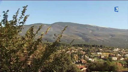 Bande Annonce VAQUI au pied du Ventoux