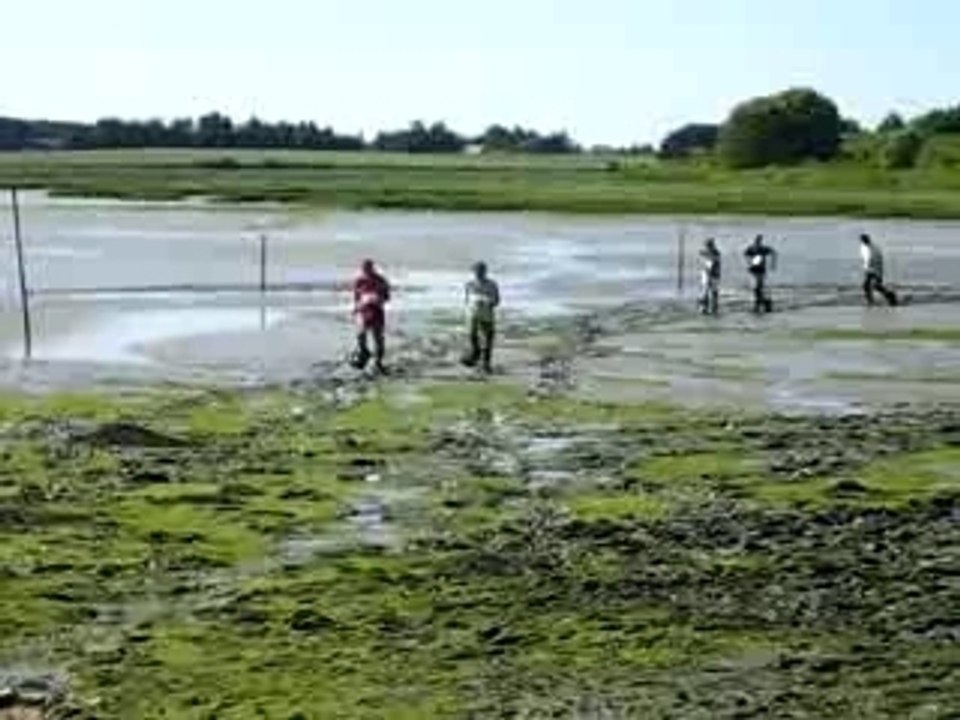 Course dans la vase en Bretagne - L'arrivée