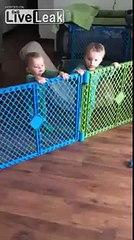 Excellent team work by toddlers