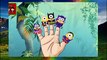 Paw Patrol Finger Family Nursery Rhymes For Kids & Children | Finger Family HD Animation R