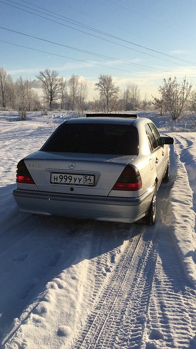 W202