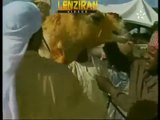 camel racing in UAE