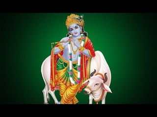 Shree Krishna Bhagwan | Exclusive Aarti