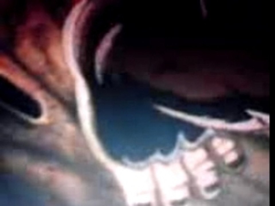 cilp OAV le combat fraticide