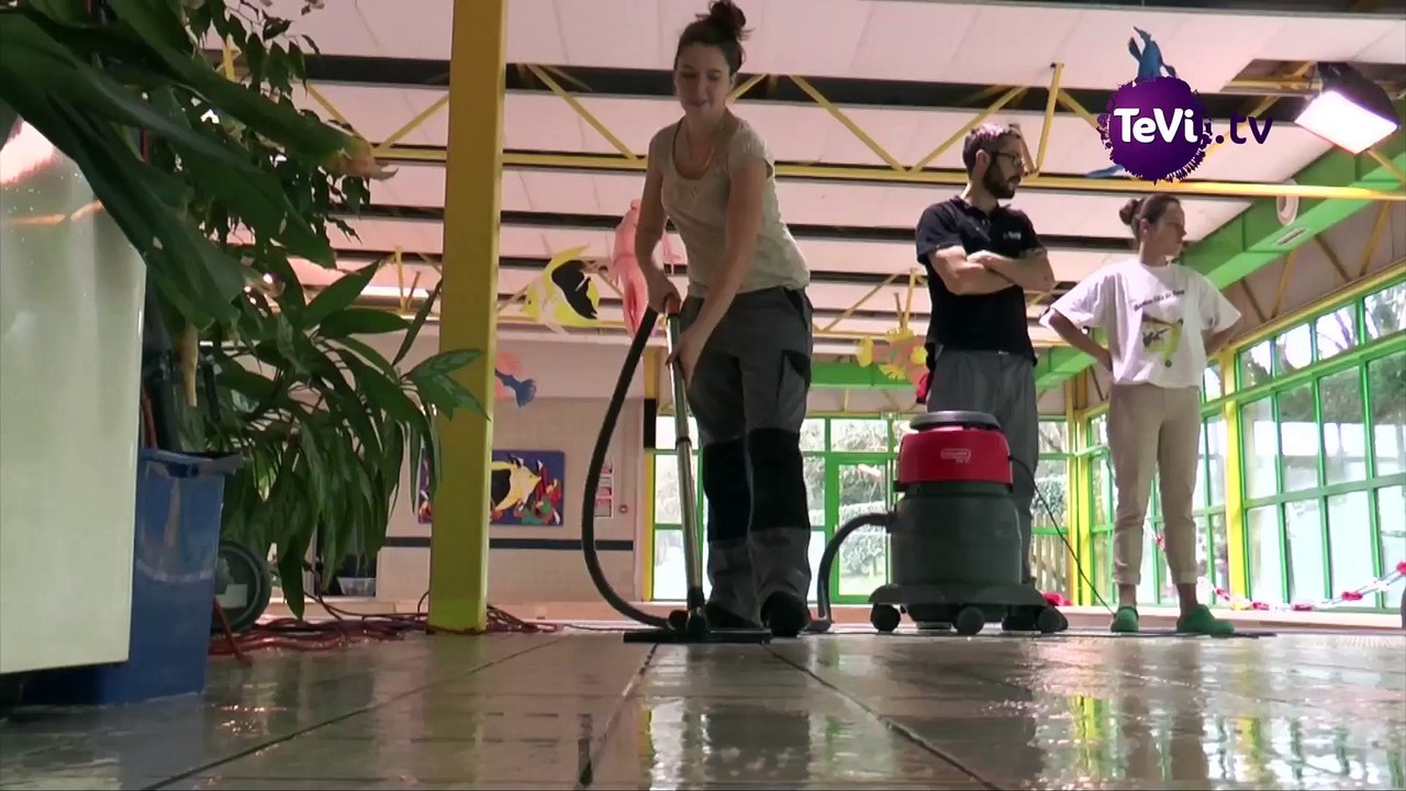 Formation Hygiène Propreté Stérilisation Coutances [TéVi] 16_01_07