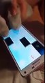 Funny cat playing piano tiles