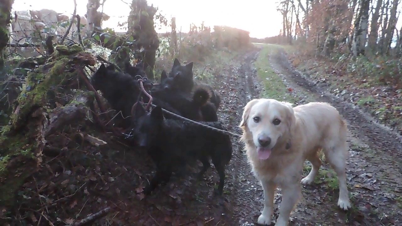 Le Rakuen promenades 2015-12 Ilko HD