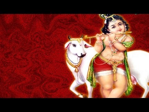 Jai Radha Madhav Jai Kunj Bihari - Lord Krishna Bhajan