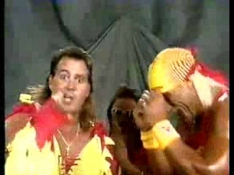 Hogan & Brutus